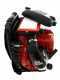 GeoTech BB660EVO - Soffiatore a scoppio a zaino motore 2 tempi