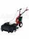 Eurosystems P55 - Motofalciatrice multifunzione rotativa - Honda GCVX 170