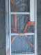Facal Genia G350-2, 2x11 gradini, 5.94 mt - Scala telescopica in alluminio