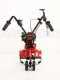 Eurosystems Z2-RM - Motozappa a benzina 3.5 HP - Briggs&amp;Stratton 450