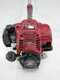 Blue Bird HO-35 PLUS - Decespugliatore a benzina 4 tempi - Motore Honda HO-35 PLUS