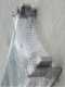 Facal Genia G200-2, 2x6 gradini, 3.20 m - Scala telescopica in alluminio - Altezza stimata operativa 4.10 m