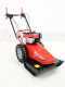 Blue Bird Domino - Trinciaerba a scoppio - Lama e filo - B&amp;S 850E