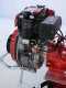 Diesse DS94 - Motozappa diesel 7 HP - Vulcan 296cc con Avviamento elettrico 