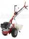 Eurosystems P55 - Decespugliatore a ruote a benzina - Loncin 196cc