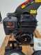 OUTLET - DIFETTI ESTETICI - BlackStone DSP 150 BS - Biotrituratore a scoppio  - Motore a benzina Briggs &amp; Stratton da 420cc
