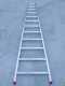 Scala agricola conica professionale in alluminio S110L12 3.45 mt, 12 gradini