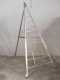 Scala agricola da potatura in alluminio Country 10 3.45 mt, 10 gradini