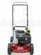 Tagliaerba a scoppio Marina Systems Speedy 40 LB BS450E
