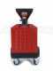 Ceccato Olindo Monofase 3 Hp - Pellettatrice per produzione in casa del pellet da riscaldamento