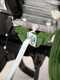 Motozappa Agri 5 con fresa 75 cm - Motore a benzina Loncin TM 60 OHV - marce 1+1