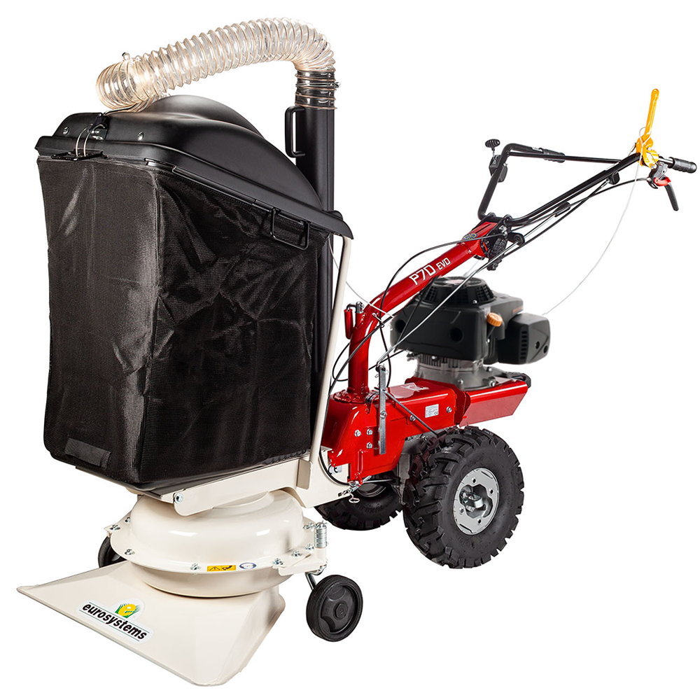 Eurosystems P70 EVO Aspirafoglie a scoppio Loncin 224 OHV Aspirafoglie multifunzione