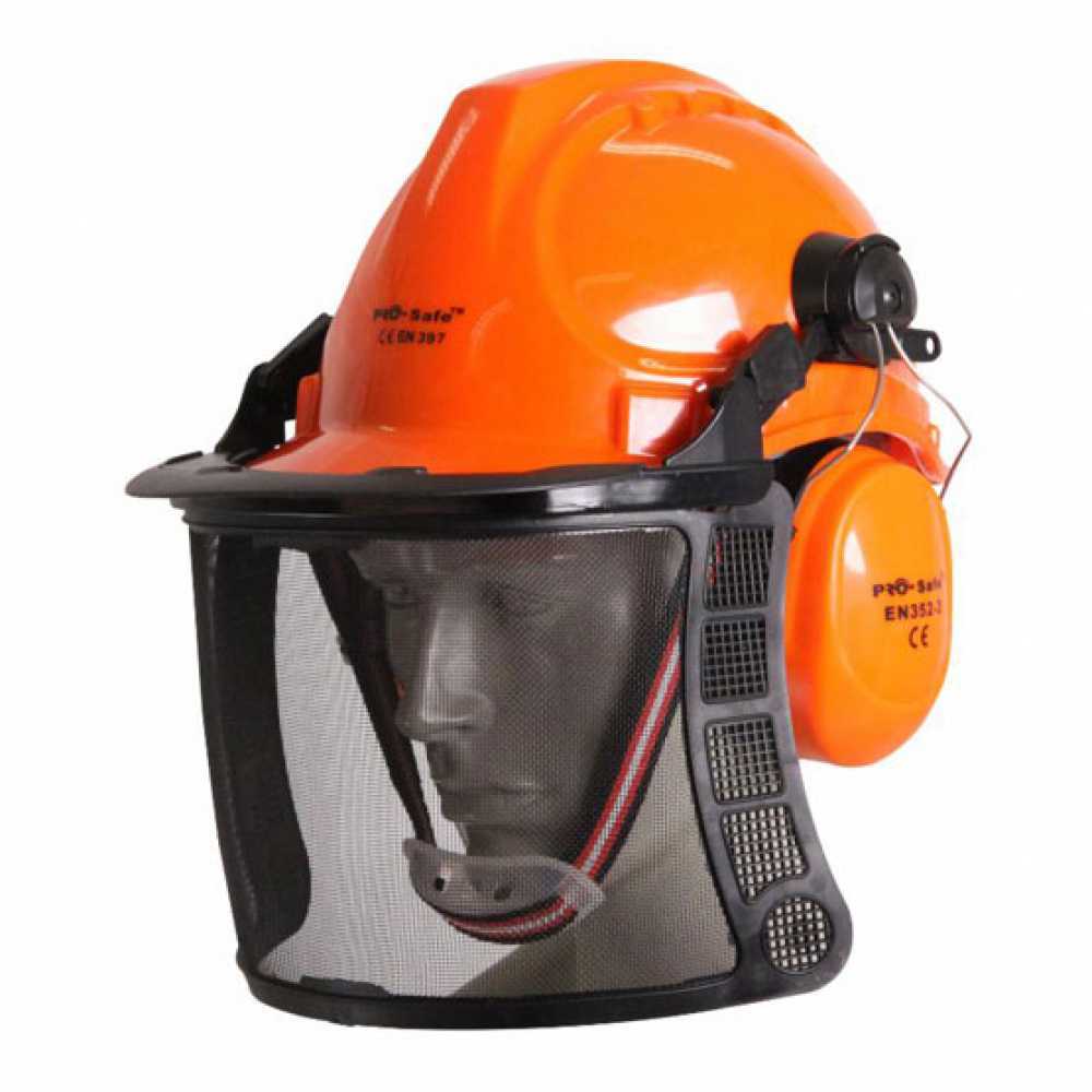 Casco protettivo con cuffie e visiera – in Offerta su AgriEuro