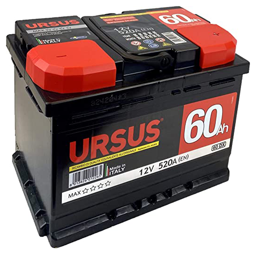 Batteria Lubex Ursus 60 AH ( 60 ampere ) - Idonea per abbacchiatori a  batteria