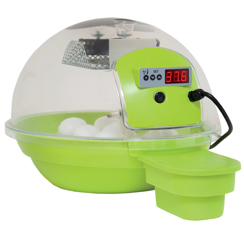 FIEM Smart Digitale 24 Verde Incubatrice per uova automatica 24 uova Incubatrici automatiche per uova