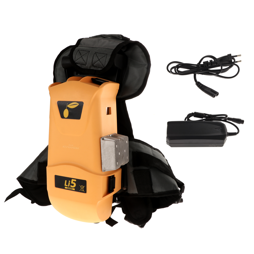 Oliviero Batteria zaino L-SET Li5 Gruppo di alimentazione per attrezzi alettrici 36V 14A 504Wh Batterie e caricabatterie Abbacchiatori