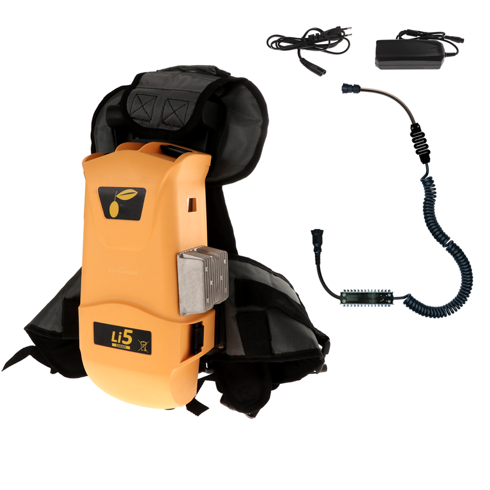 Oliviero Kit Lithium per Flex PPF Gruppo di alimentazione per attrezzi elettrici 36V 14A 504Wh Batterie e caricabatterie Abbacchiatori
