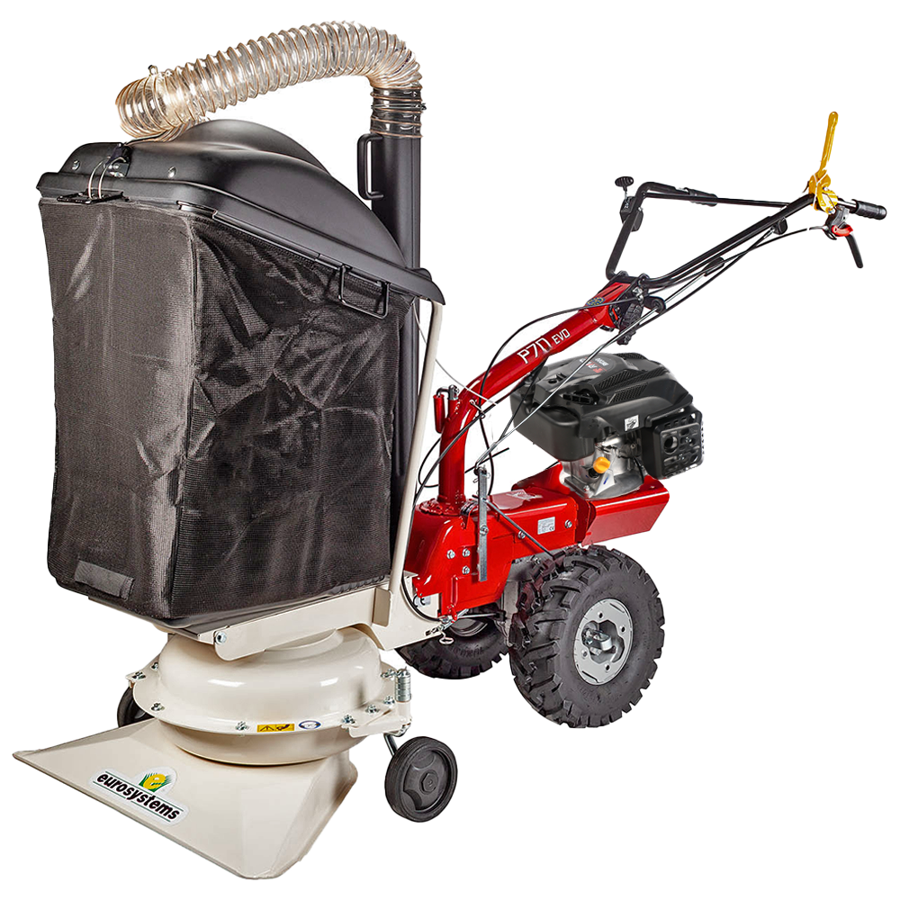 Eurosystems P70 EVO Aspirafoglie a scoppio Rato RV200 Aspirafoglie multifunzione