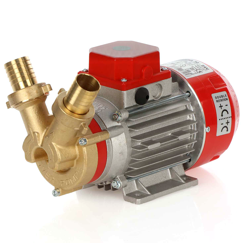 Rover Pompe Marina 30 Pompa elettrica da travaso in bronzo 24 V travaso in bronzo e ottone a batteria 24V