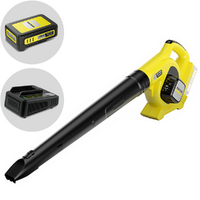 Karcher LBL 2 - Soffiatore a batteria - Batteria e caricabatteria