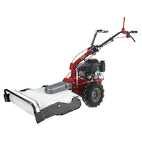 Eurosystems P55 - Trinciaerba a scoppio - Lama - Loncin 196cc