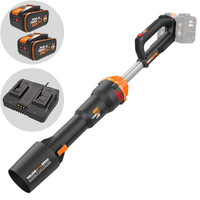 Worx NITRO WG585E - Soffiatore a batteria - 2 batterie 20V 4Ah