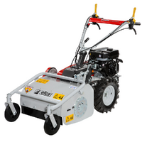 Efco DR 50 K800H - Trinciaerba professionale a martelli - Motore a benzina 6 HP