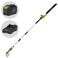 Greenworks G48PHTII - Tagliasiepi a batteria su asta di prolunga - Batteria e caricabatteria