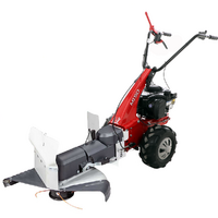 Eurosystems Minieffe M150 - Decespugliatore a ruote a benzina - B&S 625 EXi