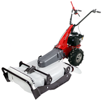 Eurosystems Minieffe M150 RM - Trinciaerba a scoppio - Falciatutto PRO - B&S 625 EXi