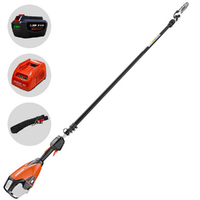 Echo DPPT-2600LW - Potatore a batteria su asta - 56V 5Ah