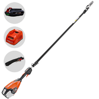 Echo DPPT-2600LW - Potatore a batteria su asta - 56V 2.5Ah