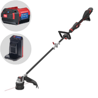 TORO 51895T - Decespugliatore a batteria - Batteria e caricabatteria