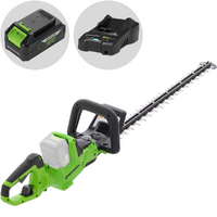 Greenworks HT48DL210-01 - Tagliasiepi a batteria 48V/2Ah - Lama da 66 cm