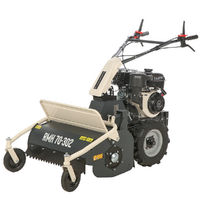 BlackStone RMH 70-302 - Trinciaerba professionale a martelli - Motore a benzina 10 HP