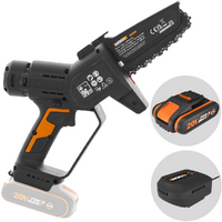 Worx WG326E - Potatore manuale a batteria - Batteria e caricabatterie
