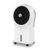 Argo Polifemo Zeus - Raffrescatore evaporativo - 6L