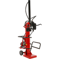 GeoTech Pro LSP 15-100 VT - Spaccalegna a trattore - Verticale