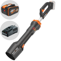 Worx Nitro Hyper WG550E - Soffiatore a batteria - 20V 5Ah