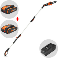 Worx WG349E - Potatore a batteria su asta telescopica 2Ah da 20V + batteria 20V 2Ah in omaggio! - Scegli tra più configurazioni
