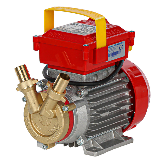 Rover 20 CE - Pompa elettrica da travaso in bronzo - Monofase - 230V