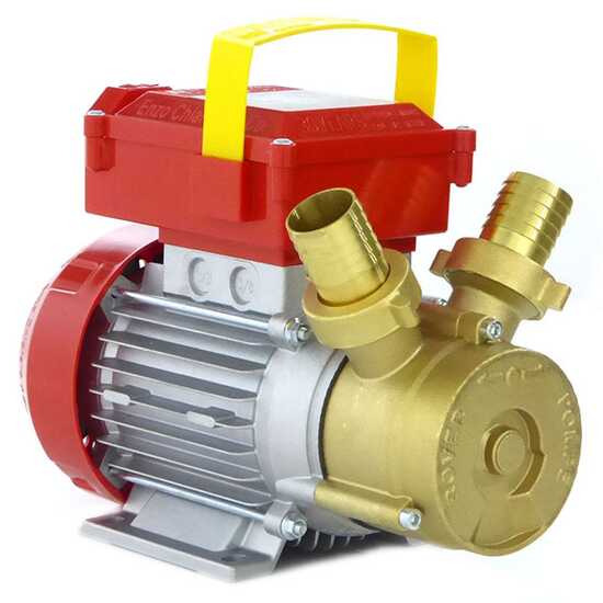 Rover 30 CE - Pompa elettrica da travaso in bronzo - Monofase - 230V