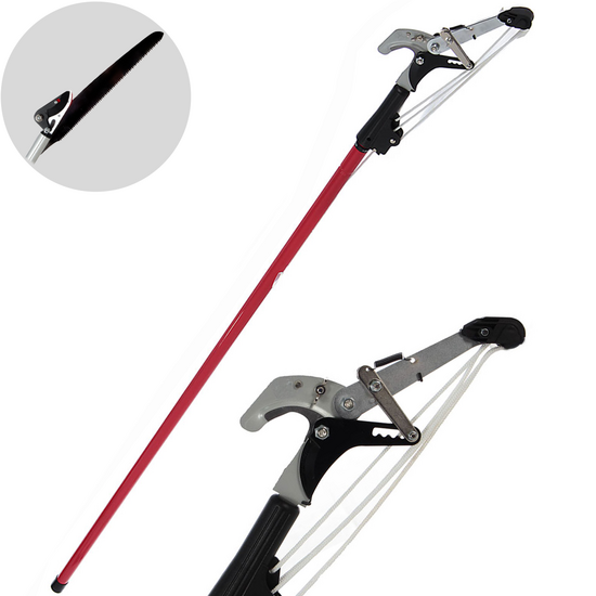 Ausonia - Svettatoio a pertica, taglio cricchetto + segaccio su asta telescopica 170-310 cm