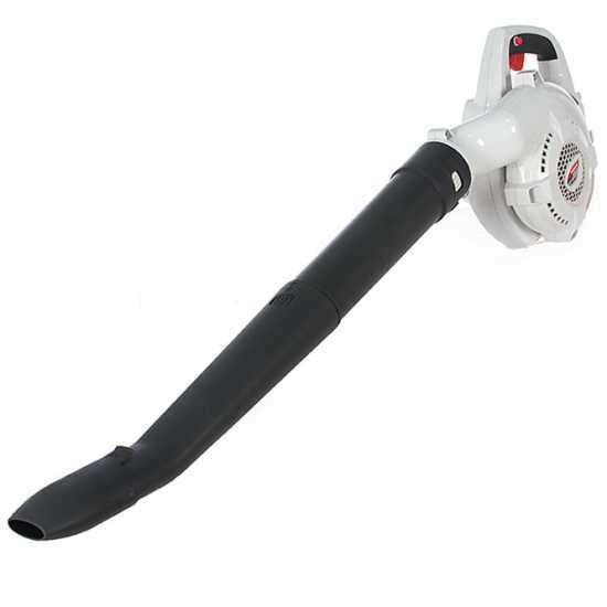 Topsun - Soffiatore per foglie a batteria 36V 2Ah