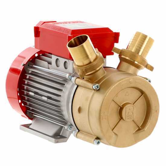Rover BE-M 50 - Pompa elettrica da travaso in bronzo
