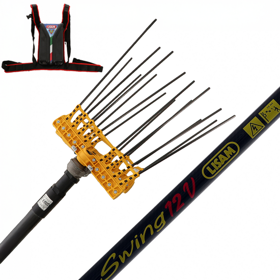 Lisam Swing - Abbacchiatore Elettrico a batteria - Asta Fissa - 240 cm - Batteria 12V 56Ah