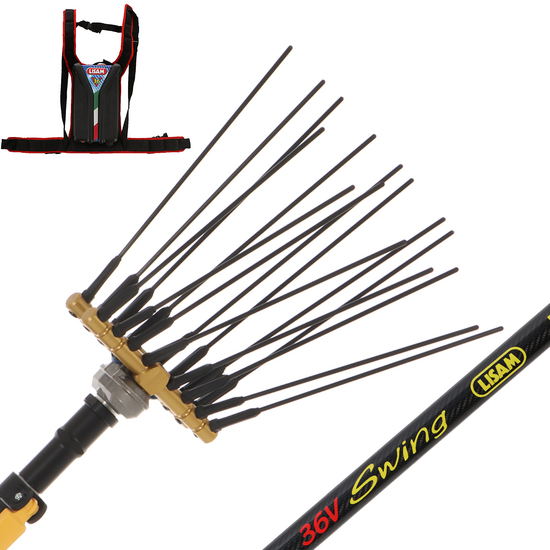 Lisam Swing 36V - Abbacchiatore Elettrico a batteria - Asta Telescopica - 220-300 cm - Batteria 36V 30Ah