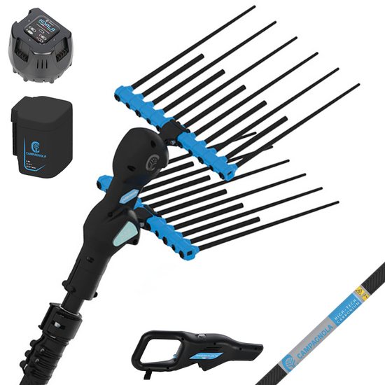 Campagnola Alice STAR ECO Plug-in - Asta in carbonio da 230 cm - Abbacchiatore elettrico- 21.6V 5Ah