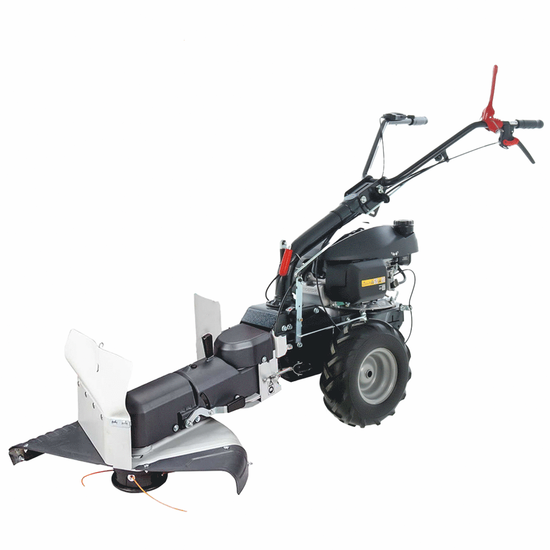 Eurosystems P55 - Decespugliatore a ruote a benzina - Honda GCVX 170