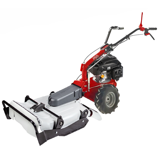 Eurosystems P55 - Trinciaerba a scoppio - Falciatutto PRO - Rato RV200